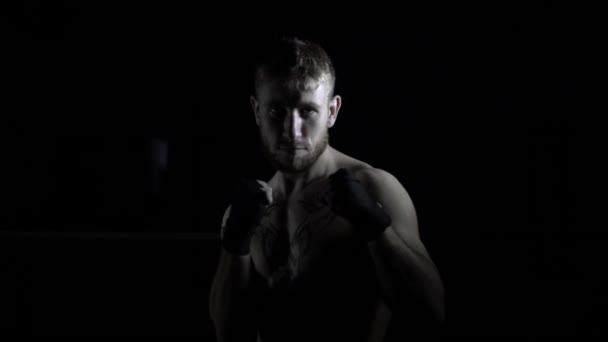 Een bokser man staat in een gevechten houding in het donker - Video