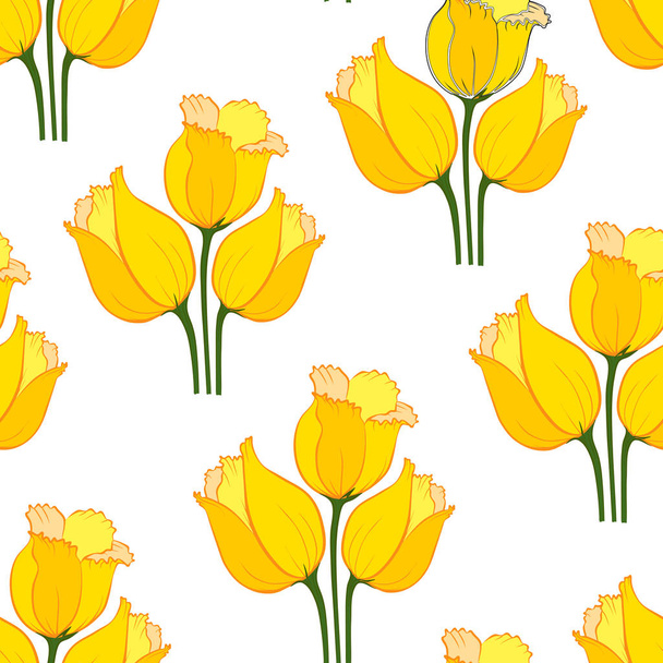 tulip pattern  _2  - Vector, Image