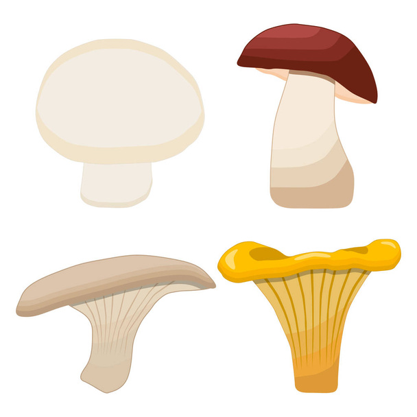 Illustration vectorielle logo de chanterelle fraîche jaune champignon comestible
 - Vecteur, image