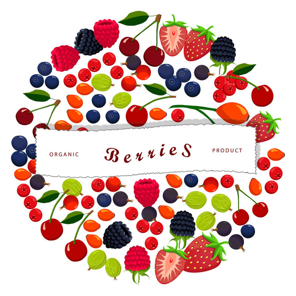 izole berry: çilek, kiraz, ahududu, böğürtlen - Vektör, Görsel