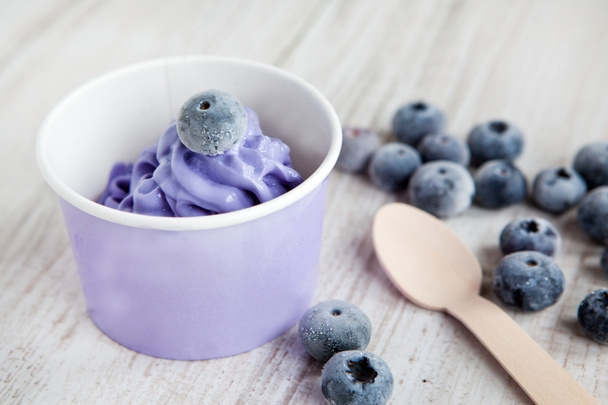 jogurtovou smetanové ledu s celou borůvky - Fotografie, Obrázek
