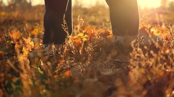 Hombre caminando en el parque de otoño en hojas amarillas en cámara lenta. Pasos de los pies masculinos. De cerca.
 - Imágenes, Vídeo