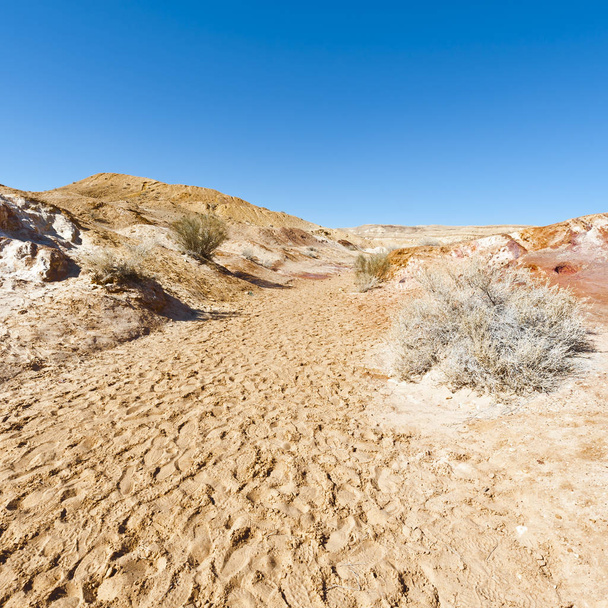 El desierto de piedra en Israel
 - Foto, Imagen
