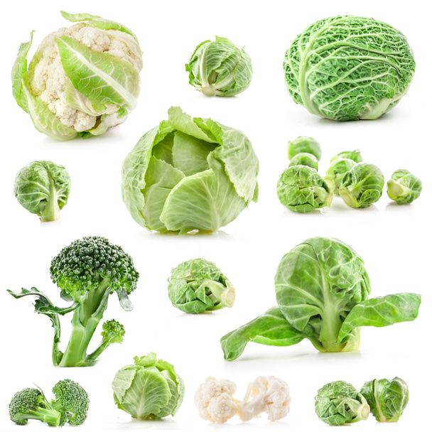 Collection of fresh cabbage - Фото, изображение