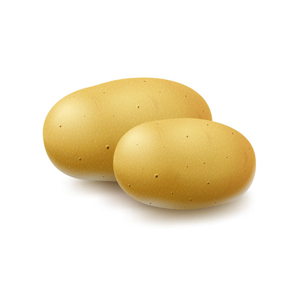 Dos vectores nuevos amarillos crudos enteros sin pelar patatas primer plano sobre fondo blanco
 - Vector, imagen