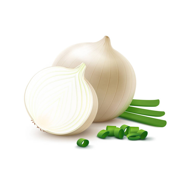 Bulbi di cipolla bianca con cipolle verdi tritate
 - Vettoriali, immagini