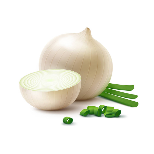 Whole and Sliced White Onion Bulbs, Green Onions - Vector, Image