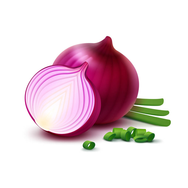 Red Onion Bulbs with Chopped Green Onions Isolated - Vektör, Görsel