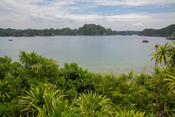 Monkey Island dans la baie d'Halong, Vietnam
 - Photo, image