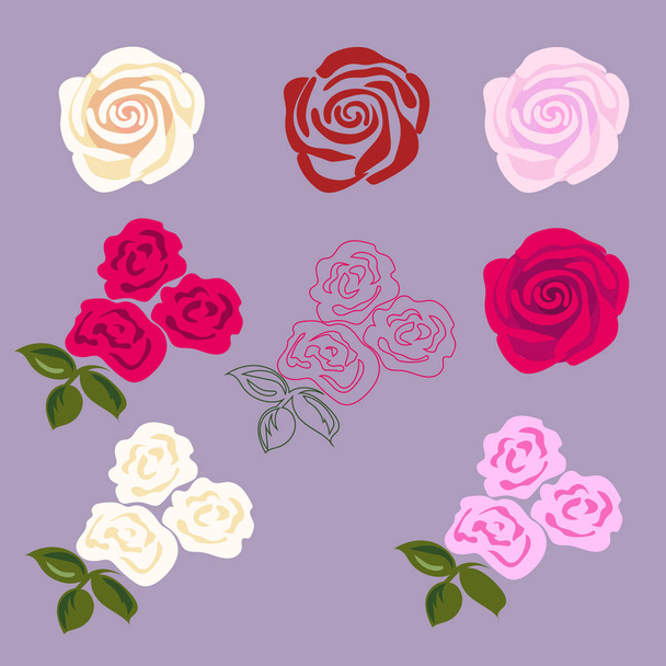 Conjunto de flores de rosa
. - Vector, imagen