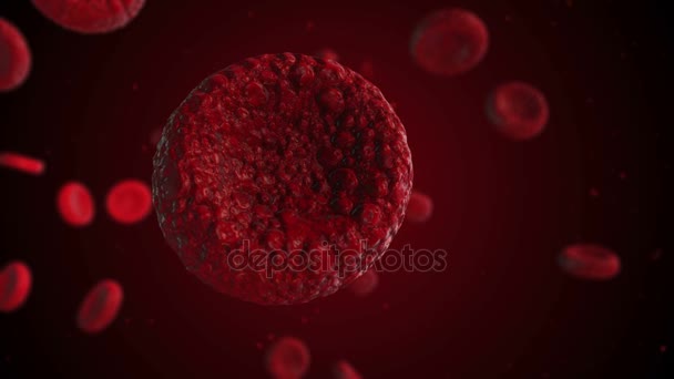 ρεαλιστική απόδοση των βακτηρίων - στο κόκκινο χρώματα - Πλάνα, βίντεο