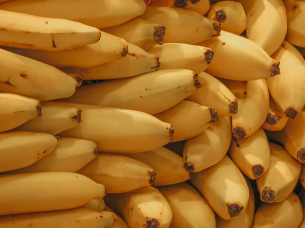 Bananas amarelas (Musa acuminata balbisiana paradisiaca) fruta comida vegetariana
 - Foto, Imagem