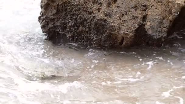 Τους παφλασμούς των κυμάτων Τακτοποίηση ατομικών ειδών στην παραλία της Βαλτικής θάλασσας με μια μεγάλη πέτρα σε αργή κίνηση. - Πλάνα, βίντεο
