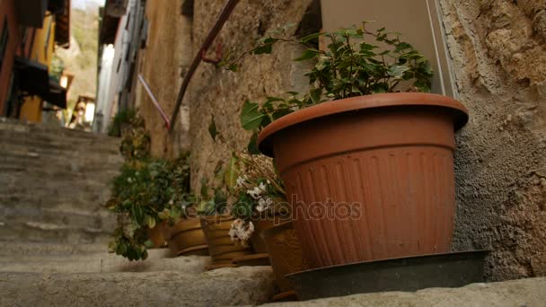 Pots décoratifs avec des fleurs dans la rue de la ville italienne
. - Séquence, vidéo
