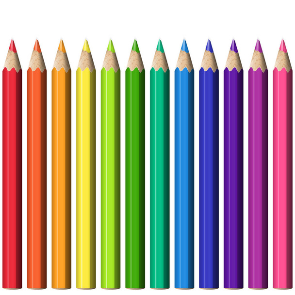 Set of Realistic Sharp Colorful Pencils. - Vector, Image