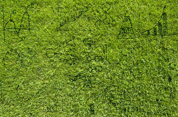 Desenho plano de negócios em textura de grama verde e fundo
 - Foto, Imagem