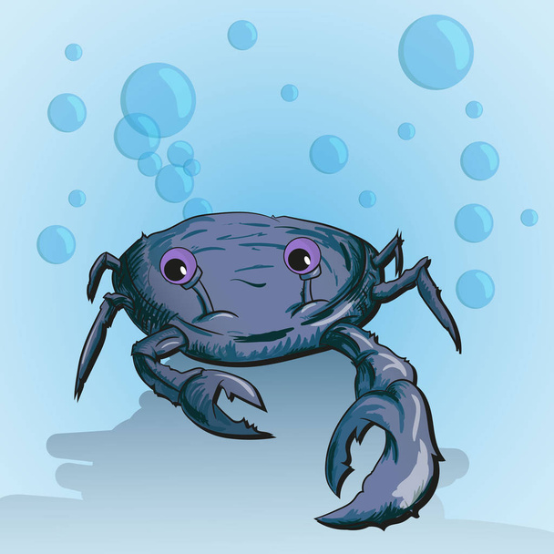 Zee blauwe krab - Vector, afbeelding