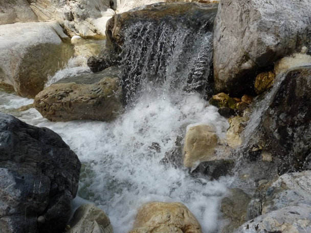 岩内山水源 - 写真・画像