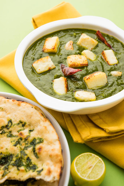 Indian curry dish - Palak paneer made up of  spinach and cottage cheese, served in white bowl, selective focus - Photo, Image