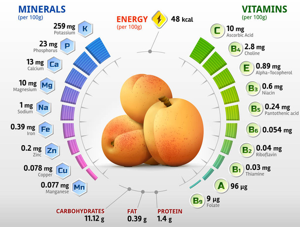 Vitaminen en mineralen van abrikoos fruit - Vector, afbeelding