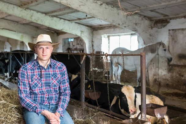 Agricultor trabajando en granja con vacas lecheras
 - Foto, Imagen