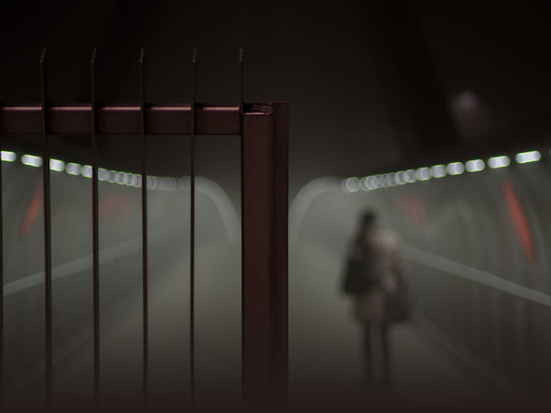 Ворота в тумані
 - Фото, зображення
