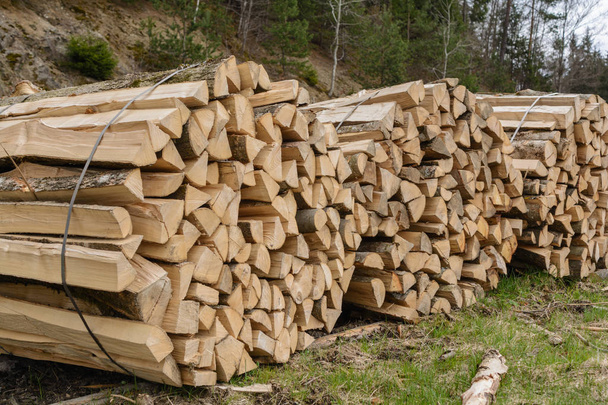 Brennholz gebündelt - umweltfreundliche Energie - Foto, Bild