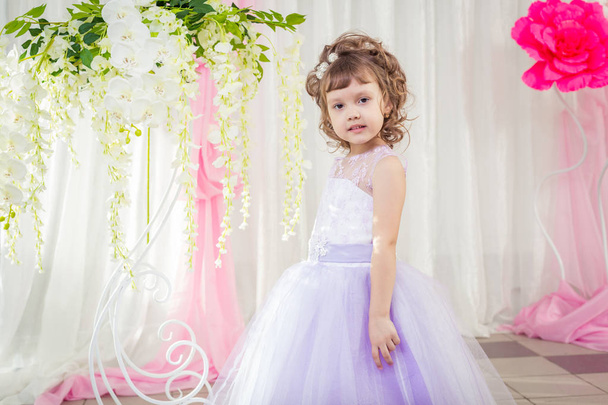 Little girl in a beautiful dress - Фото, изображение