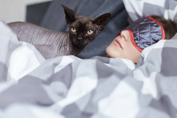 Evde beslenen hayvan üzerinde odaklanın. Sfenks kedi yana siesta, çalışkan süre sonra sırasında genç kadının dinlenme koruyan kaba seyir portresi. Sağlık ve güzellik kavramı. - Fotoğraf, Görsel
