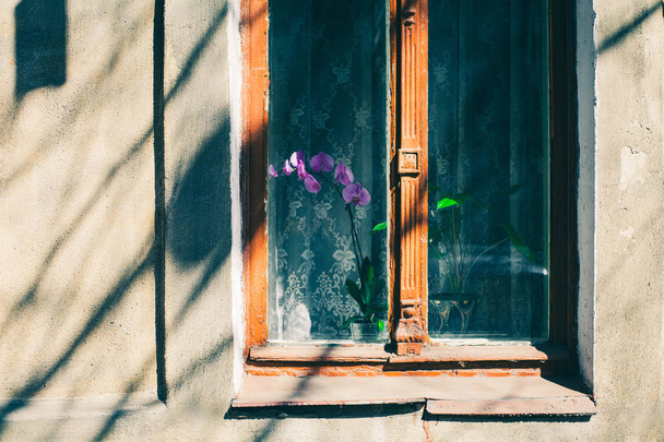 Janela velha com tinta rachada, fundo da parede de tijolo vintage com janela velha
 - Foto, Imagem