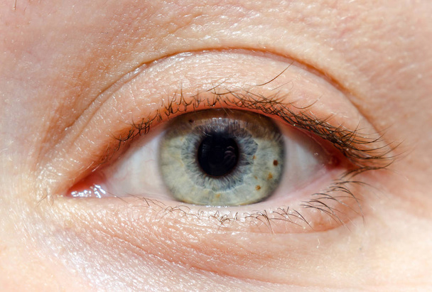 Verde-azul humano, ojo de mujer, primer plano
 - Foto, Imagen