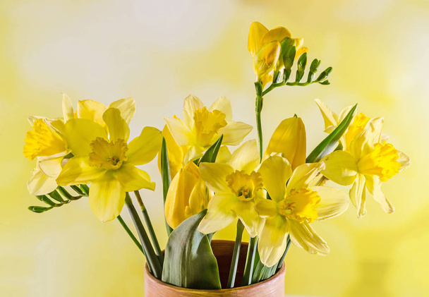 Yellow daffodils and freesias flowers in a colored vase, close up - Foto, Imagem