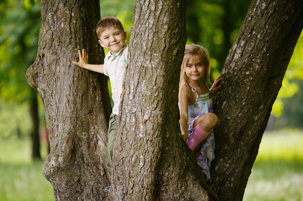 boy and girl climb big tree - 写真・画像
