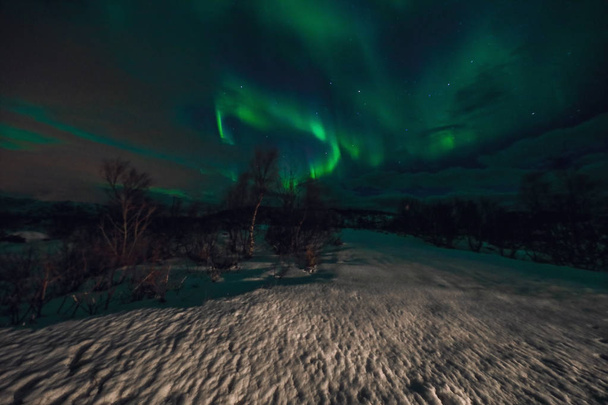 Amazing veelkleurige Aurora Borealis ook bekend als de Northern Lights in de nachtelijke hemel over Lofoten landschap, Noorwegen, Scandinavië. Als abstracte aard achtergrond wazig. - Foto, afbeelding
