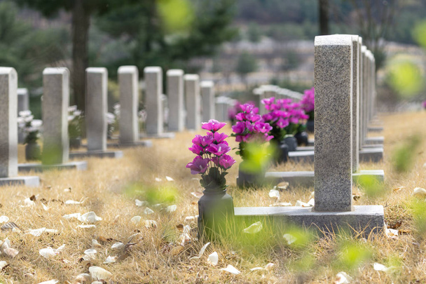 pierres tombales au cimetière national de Séoul
 - Photo, image