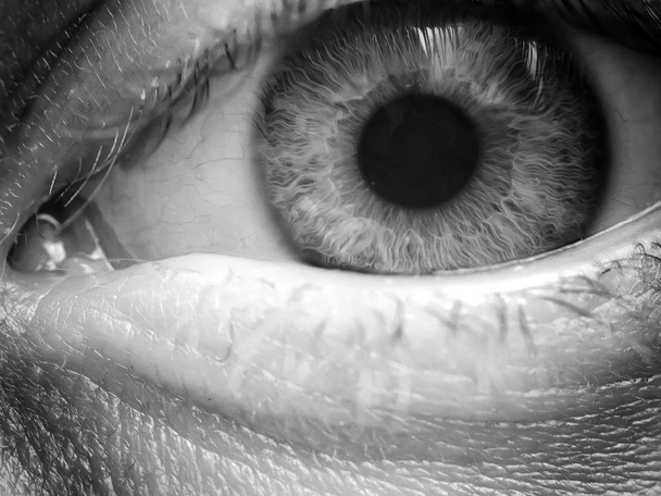 μακροεντολή της μπλε μάτι - Φωτογραφία, εικόνα