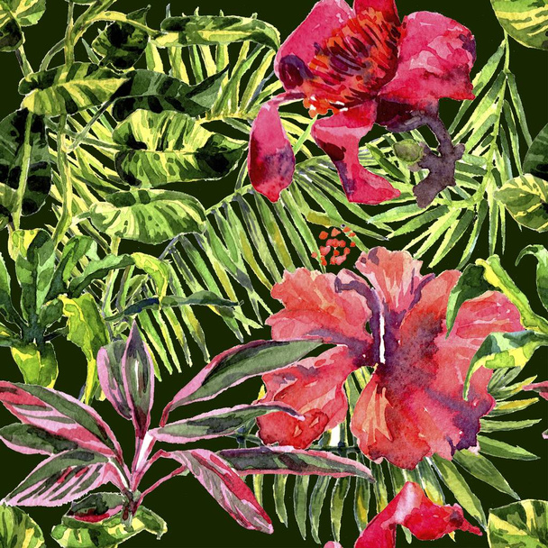 Fondo Tropical. acuarela hojas y plantas tropicales. Fondo de vegetación de selva pintada a mano
 - Foto, Imagen