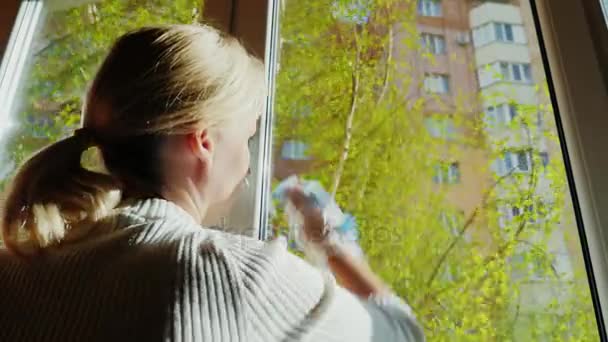 Egy fiatal nő mossa egy ablak a lakásában. Az ablakon egy tiszta tavasz, a nyír, imbolygott a szélben, egy emeletes tégla ház látható. Hátulnézet - Felvétel, videó