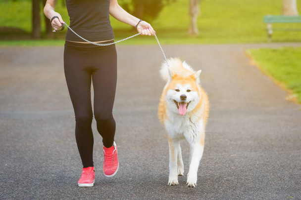 Jogger and akita dog running outdoors - Фото, зображення