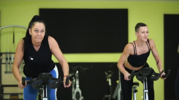 Le donne sono impegnate in un allenamento di gruppo in bicicletta per mantenere la forma fisica
. - Filmati, video