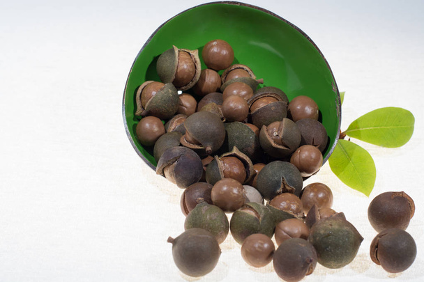 Macadamia nuts in shell, new harvest close up on white background - Photo, Image
