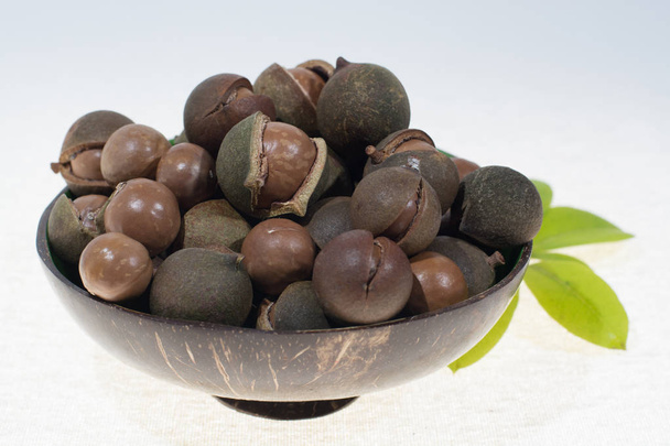 Орехи макадамии в раковине, новый урожай крупным планом, копия пространства
 - Фото, изображение