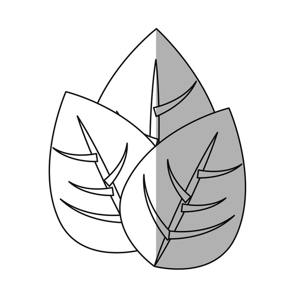 Bladeren pictogramafbeelding - Vector, afbeelding
