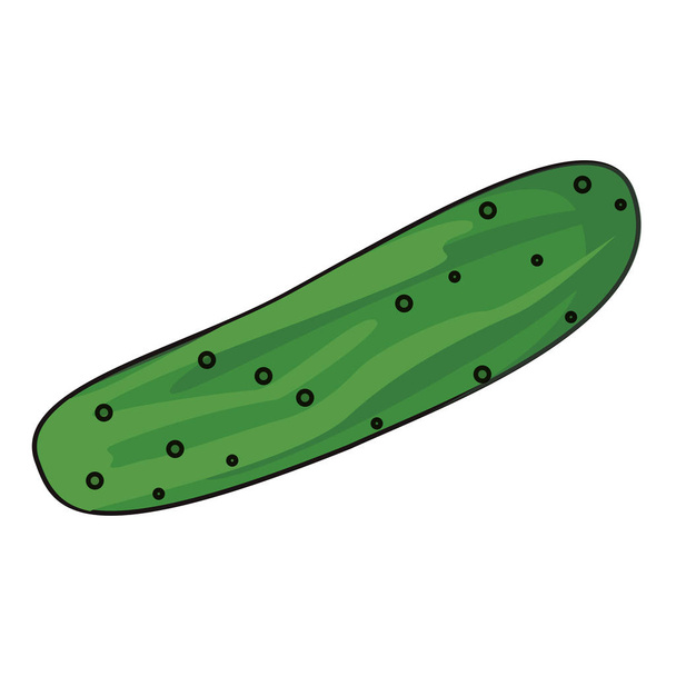 komkommer plantaardige verse afbeelding - Vector, afbeelding