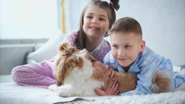 Broertje en zusje gekleed in zelfgemaakte pyjama's omlijnen een beetje hondje. - Video