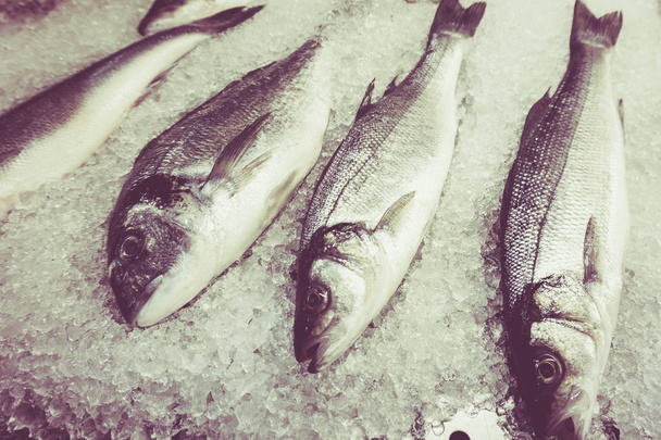 fresh fish on ice. Vintage Retro Filter - Zdjęcie, obraz