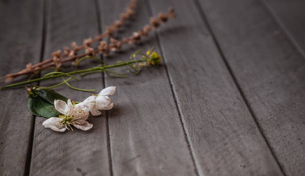 ahşap arka plan bahar çiçeği - Fotoğraf, Görsel