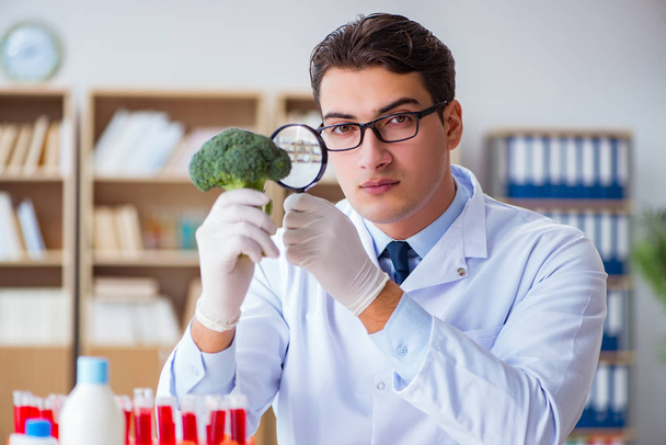 Επιστήμονας που εργάζεται σε βιολογικά φρούτα και λαχανικά - Φωτογραφία, εικόνα