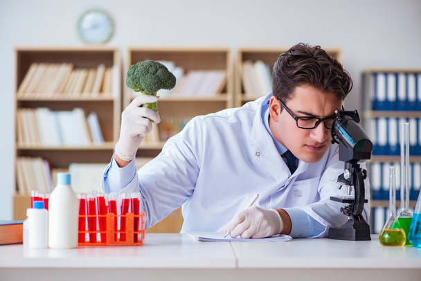 Wetenschapper die werkt aan biologische groenten en fruit - Foto, afbeelding