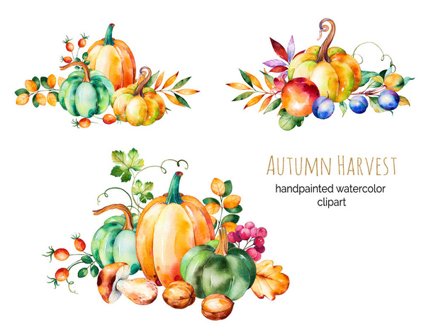 Colorida colección de cosecha de otoño
 - Foto, imagen
